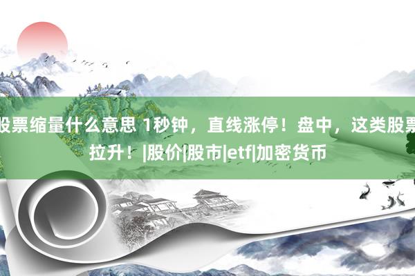 股票缩量什么意思 1秒钟，直线涨停！盘中，这类股票拉升！|股价|股市|etf|加密货币
